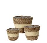 Σ/3 κασπώ υάκινθου κρεμ/καφέ χρ. 14/16/18cm HE268